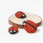 Ladybird rocks eco party bags